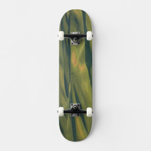 Skateboard USA, WA, Whitman Co., Palouse Farm Fields from