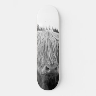Skateboard Vache Highland #6 #mur #art