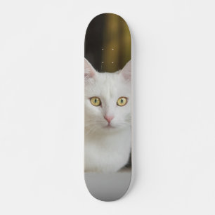 Skateboard White cat with yellow eyes