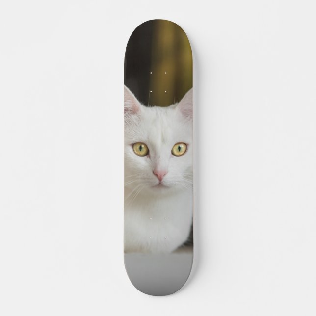 Skateboard White cat with yellow eyes (Front)