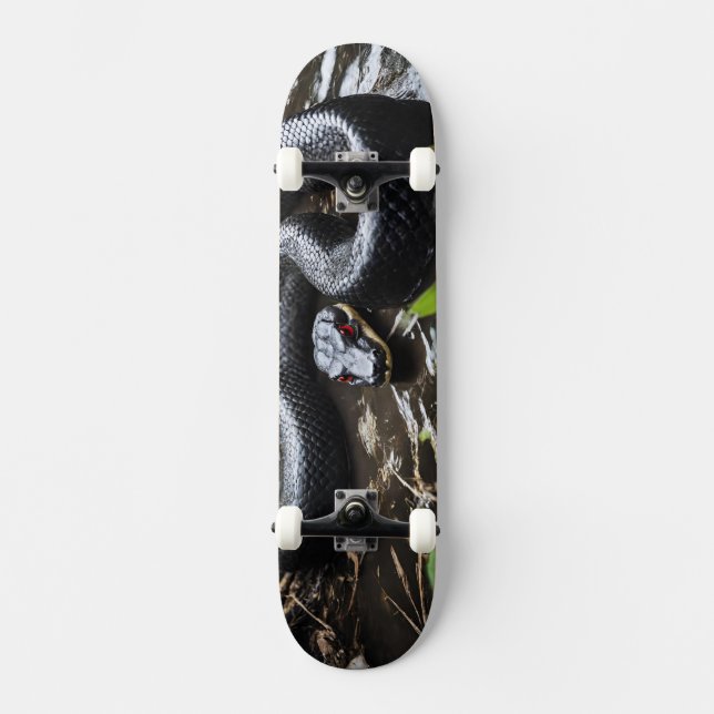 Skateboard with black anaconda (Recto)