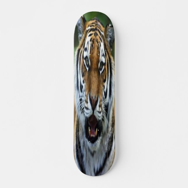 Skateboard with Tiger face picture (Front)