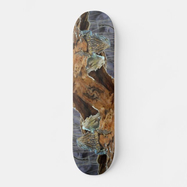 Skateboard with two curious lizards (Front)