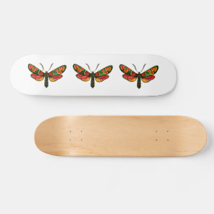 Skateboard Zygaena carniolica - La teigne de Burnet Crepuscul