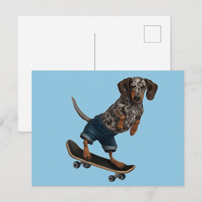 Skateboarding Dachshund  Postcard (Front/Back)