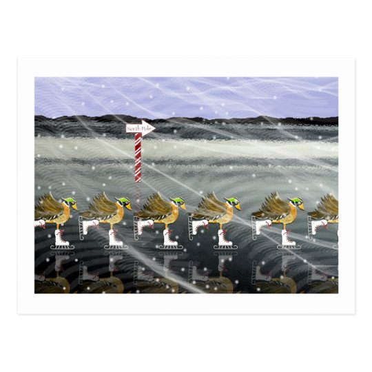 Skating Ducks for Christmas Postcard