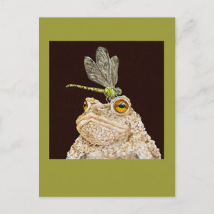 skeeter la carte postale du crapaud