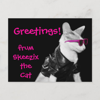 Skeezix the Cat Postcard