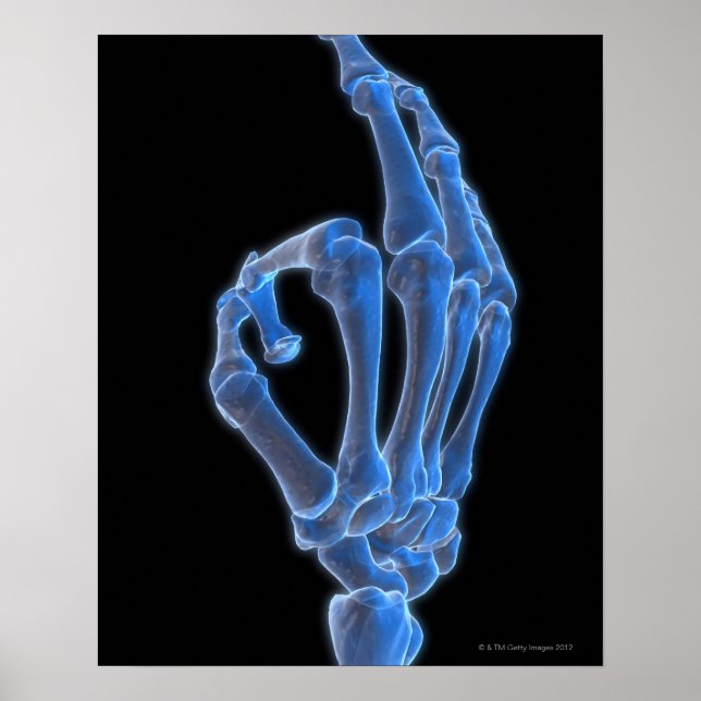 Skeletal Hand Gesture Poster (Front)