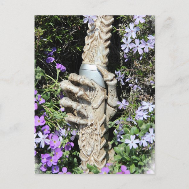 Skelethand - Gothic / Postkarte Postcard (Front)