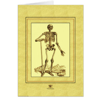 Skeleton