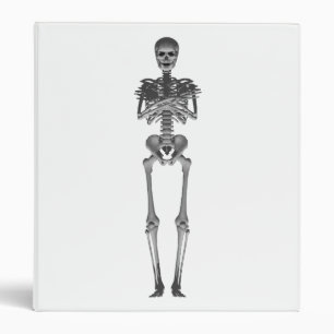 Skeleton 3D Model: Custom Binder