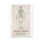 skeleton anatomy  business card