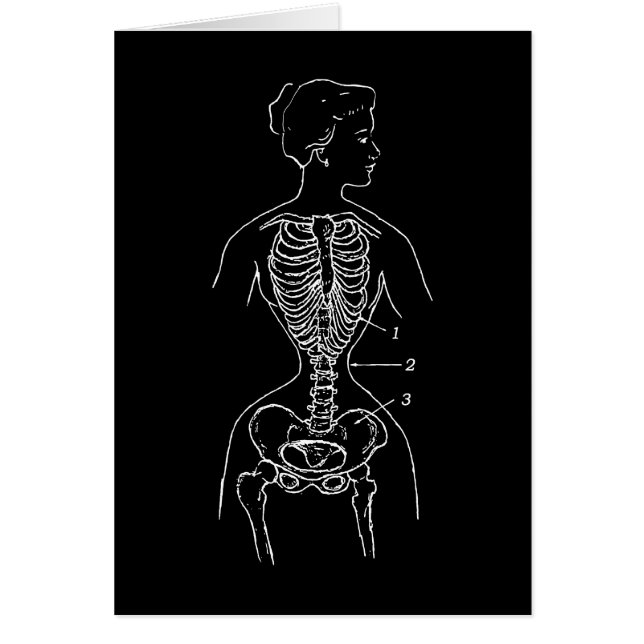 Skeleton and Corset (Front)