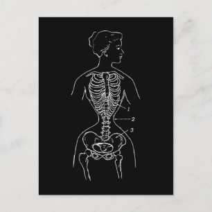 Skeleton and Corset Postcard
