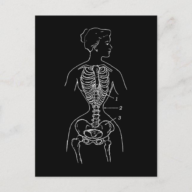 Skeleton and Corset Postcard (Front)