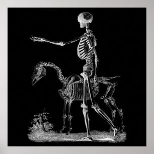 Skeleton and Horse Halloween Decor BW3