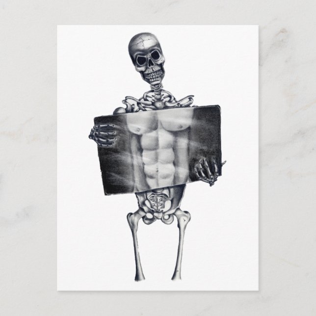 Skeleton Chest Xray White Postcard (Front)