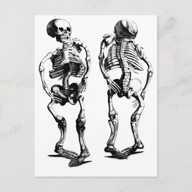 Skeleton Dance postcard (Front)