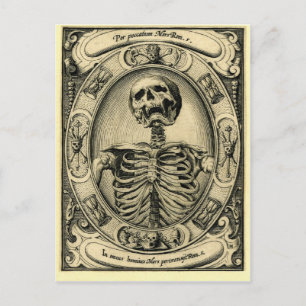 Skeleton, Goth, Medieval Postcard
