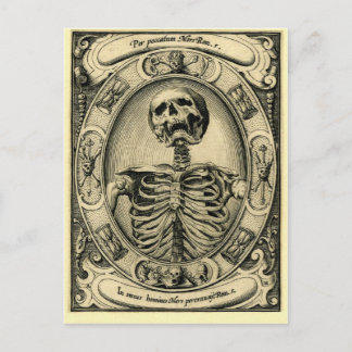 Skeleton, Goth, Medieval Postcard