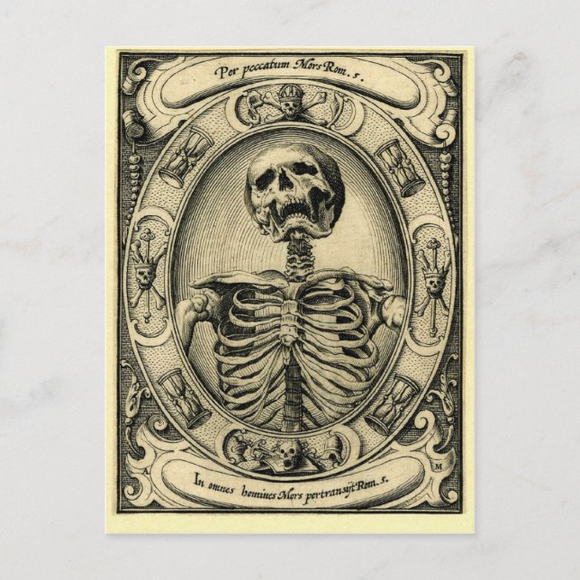 Skeleton, Goth, Medieval Postcard (Front)