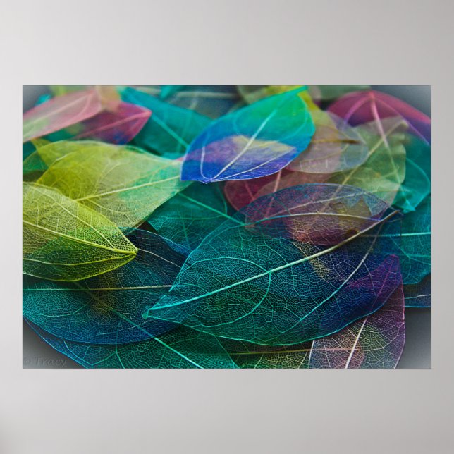 Skeleton Leaves Poster (Front)