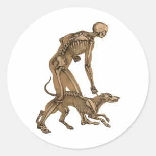 skeleton man and dog human animal anatomy art classic round sticker