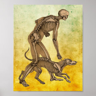 Dog Skeleton Wall Art & Décor