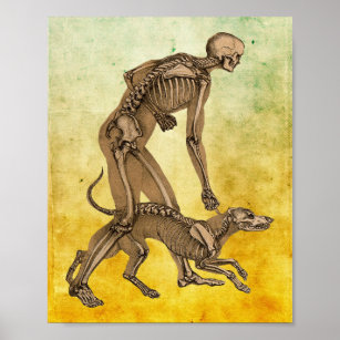 Skeleton dog - Skeleton - Posters and Art Prints