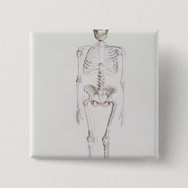 Skeleton of Australopithecus africanus 2 Inch Square Button (Front)