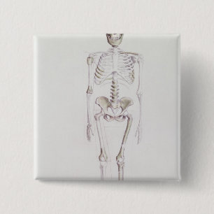 Skeleton of Australopithecus africanus 2 Inch Square Button