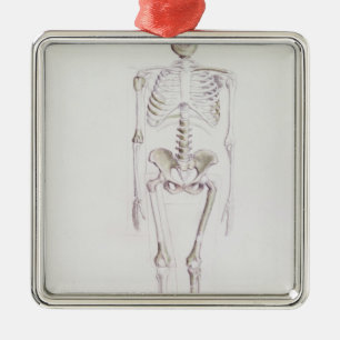 Skeleton of Australopithecus africanus Metal Ornament