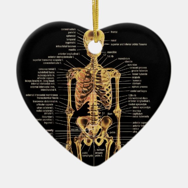 Skeleton Ornament (Front)