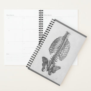 Skeleton planner