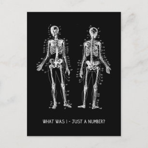 Skeleton Questions for Halloween Postcard