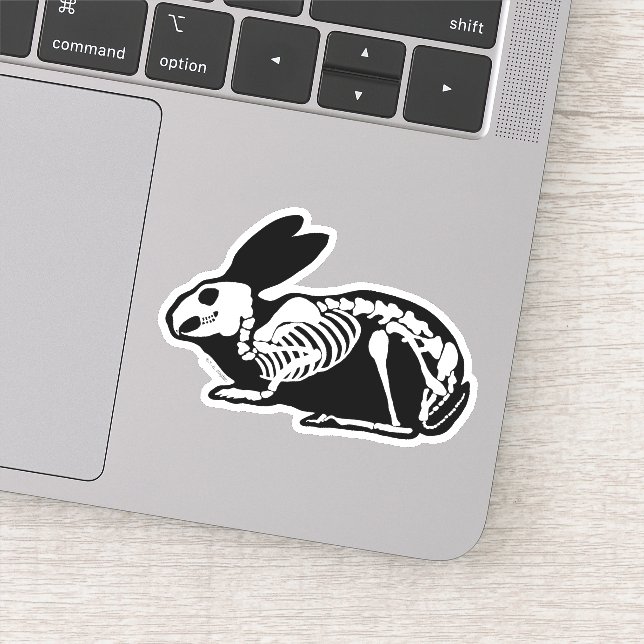 Skeleton Rabbit (Detail)