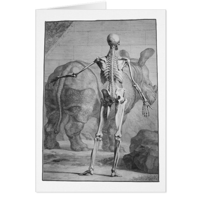 Skeleton & Rhino (Front)