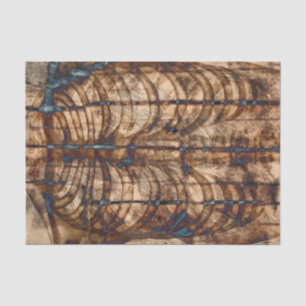 Skeleton Rib Cage Beige Brown Grey Vintage Xray Tissue Paper