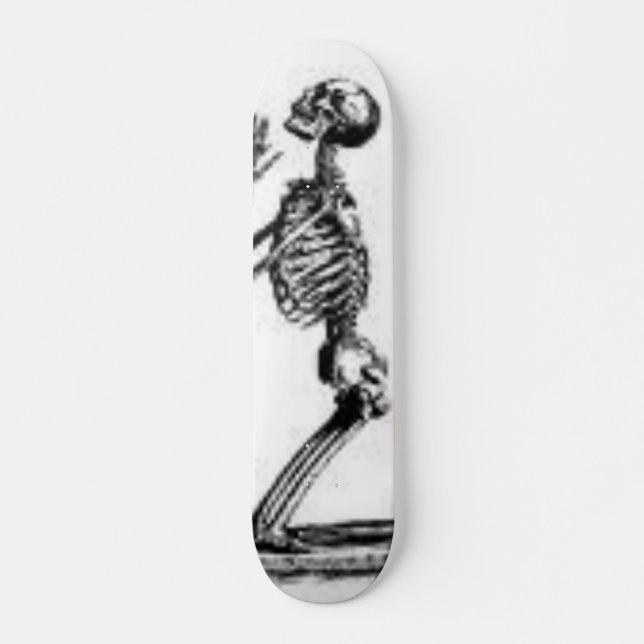 skeleton skateboard (Front)