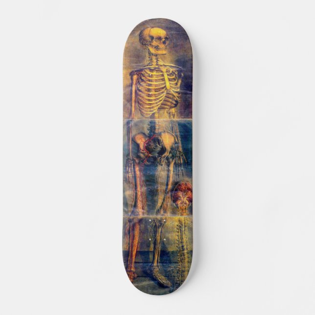 Skeleton Skateboard (Recto)