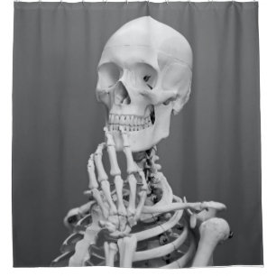 Skeleton Skull Halloween Black and White Grey