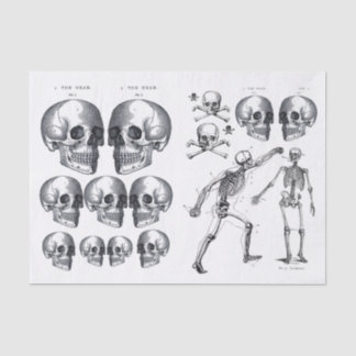 Skeleton Skulls Skull n Bones Decoupage Collage Ti Tissue Paper