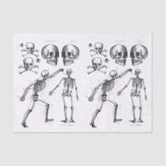 Skeleton Skulls Skull n Bones Decoupage Collage Ti Tissue Paper