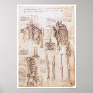 Skeleton Studies, Leonardo Da Vinci, 1510 Poster