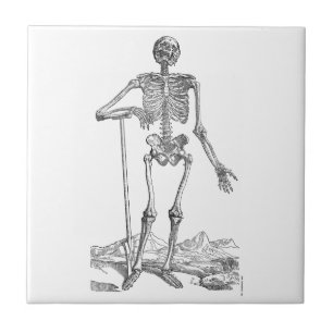 Skeleton Tile