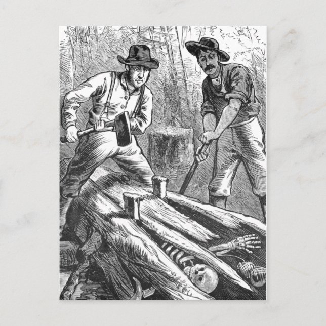 "Skeleton Tree" Postcard (Front)