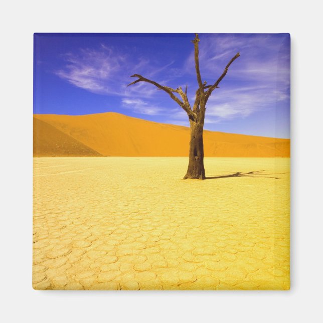 Skeleton trees in Dead Vlei Sossusvlei, Magnet (Front)