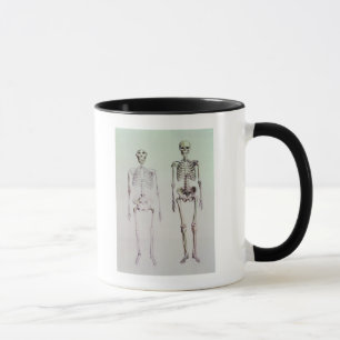 Skeletons of Australopithecus Boisei Mug