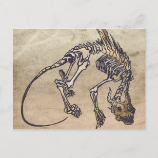 Skellie Postcard